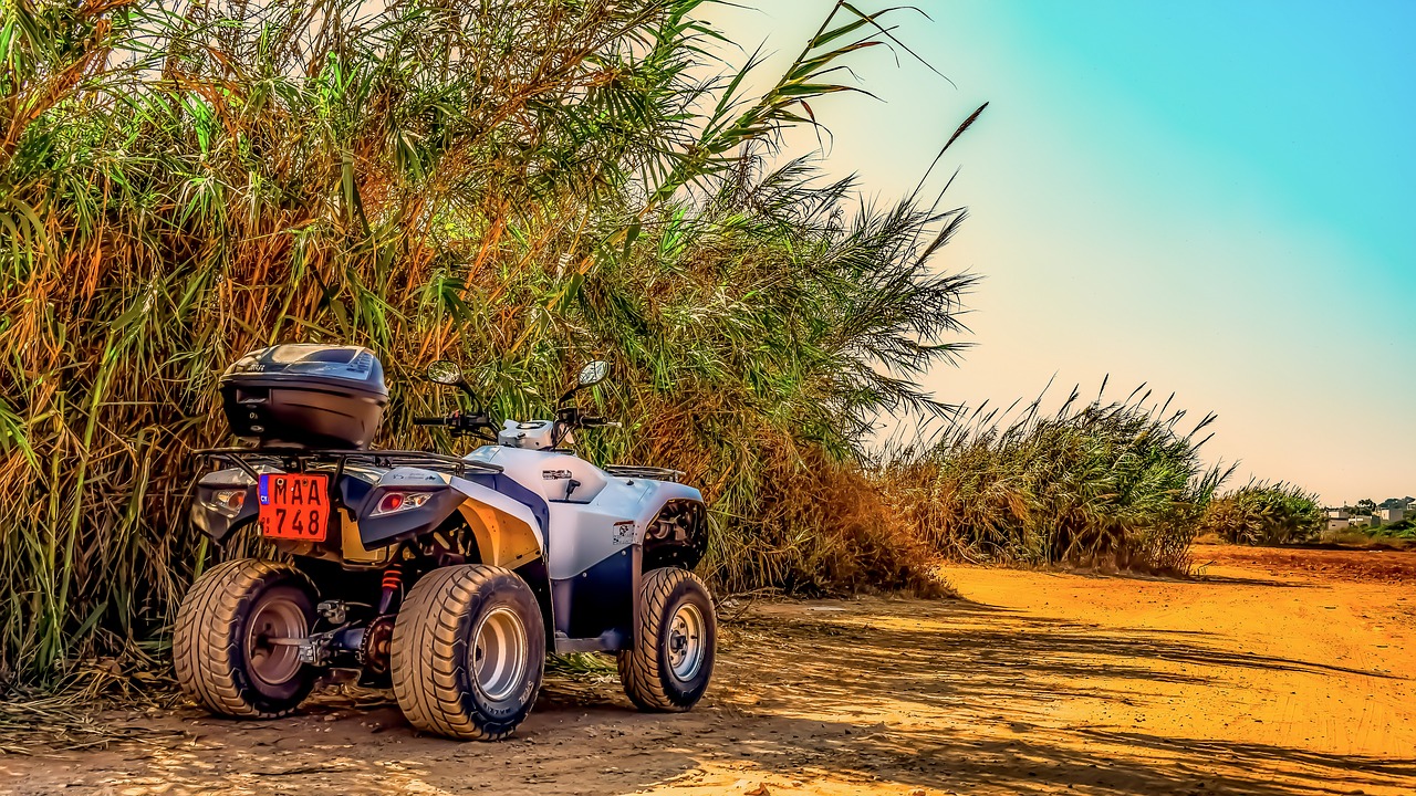 buggy  vehicle  off road free photo