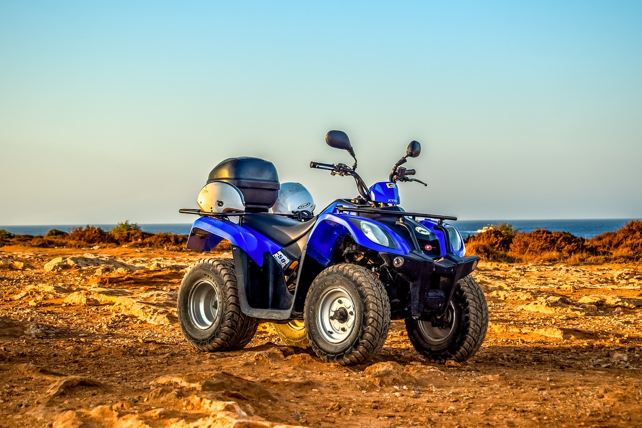 buggy  vehicle  off road free photo