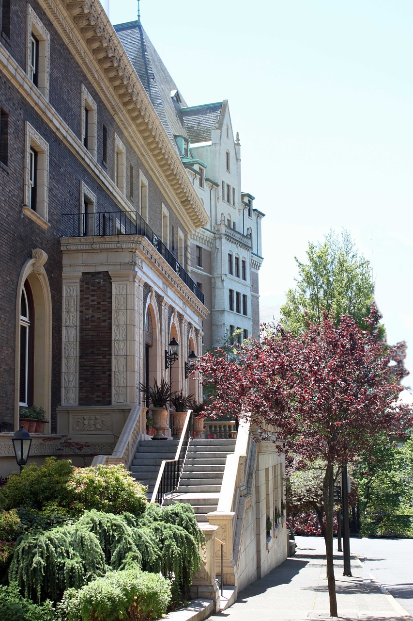 building trees architecture free photo