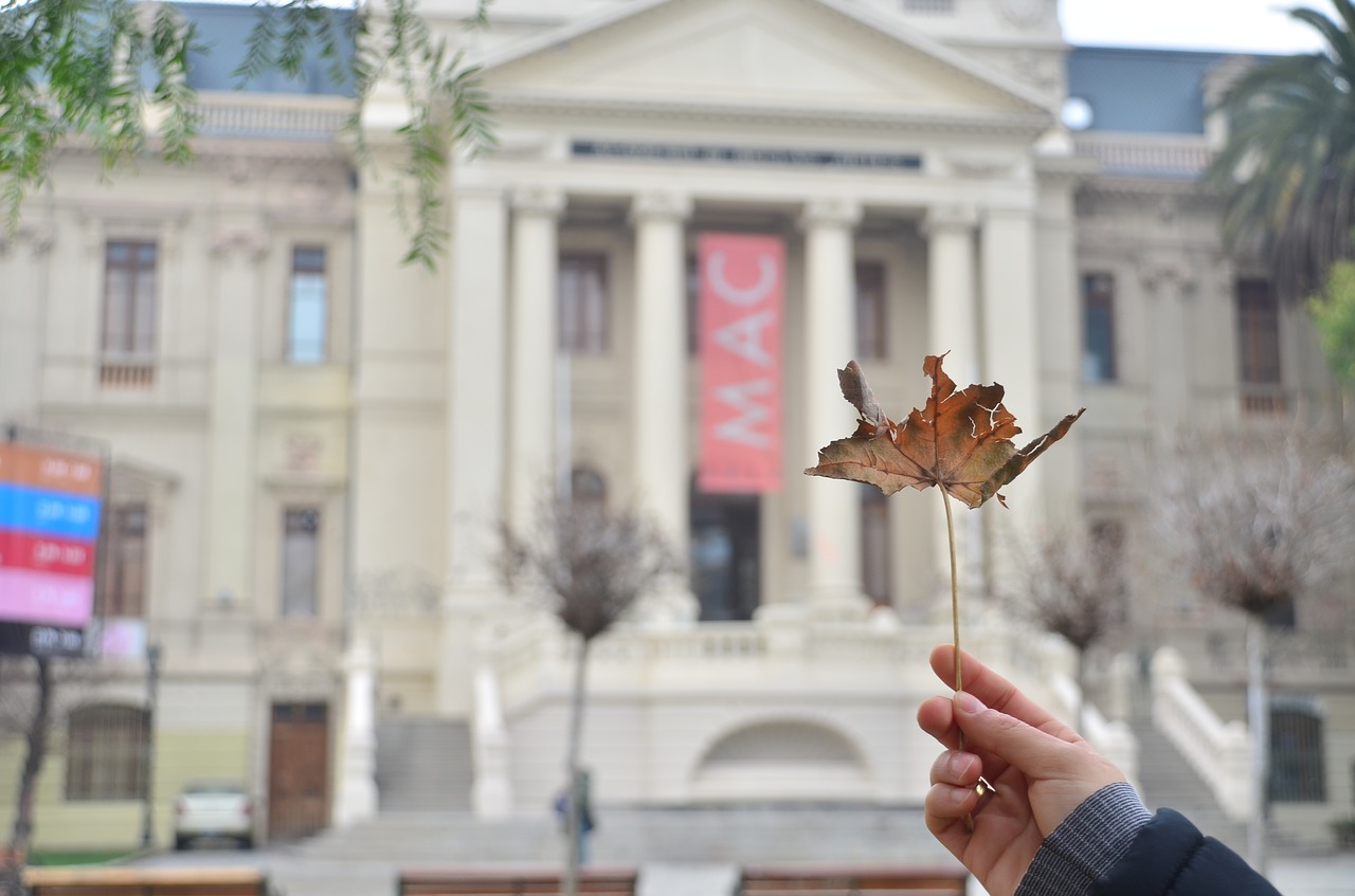 building government leaf free photo