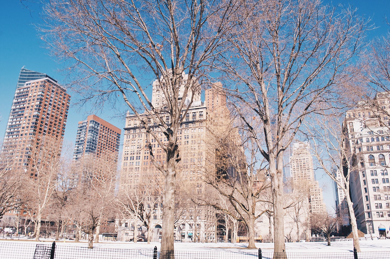 building new york snow free photo