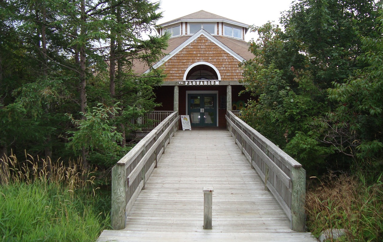 building walkway architecture free photo