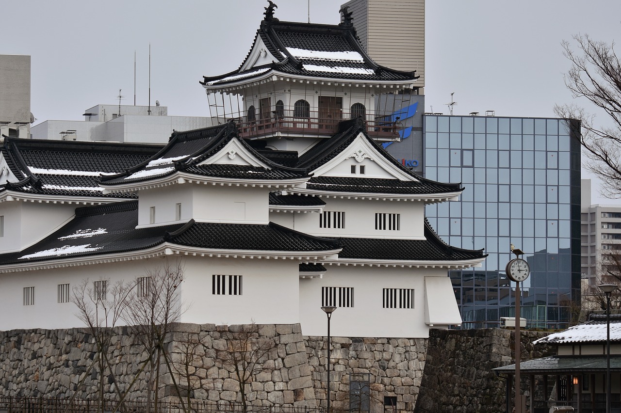 building  castle  toyama castle free photo