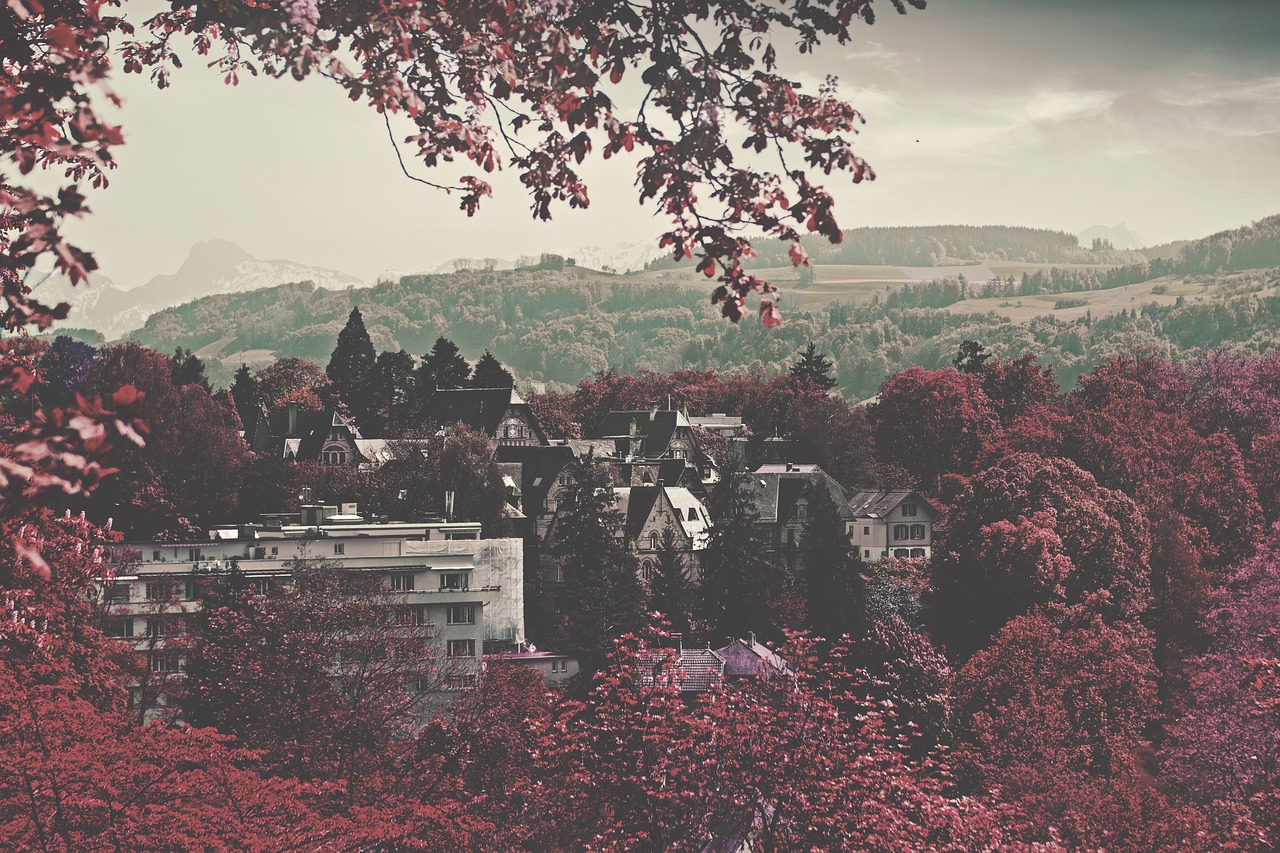 buildings mountains trees free photo