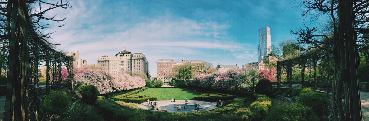 buildings panoramic park free photo