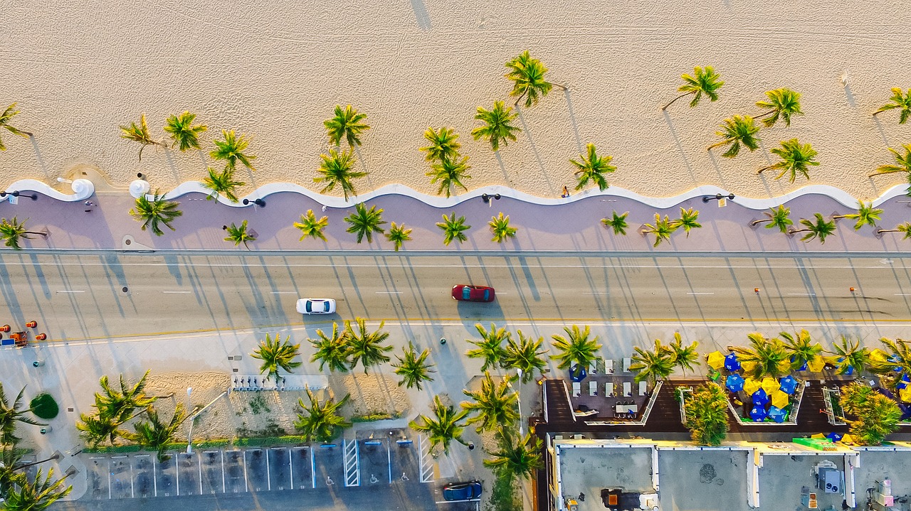 buildings cars palm trees free photo