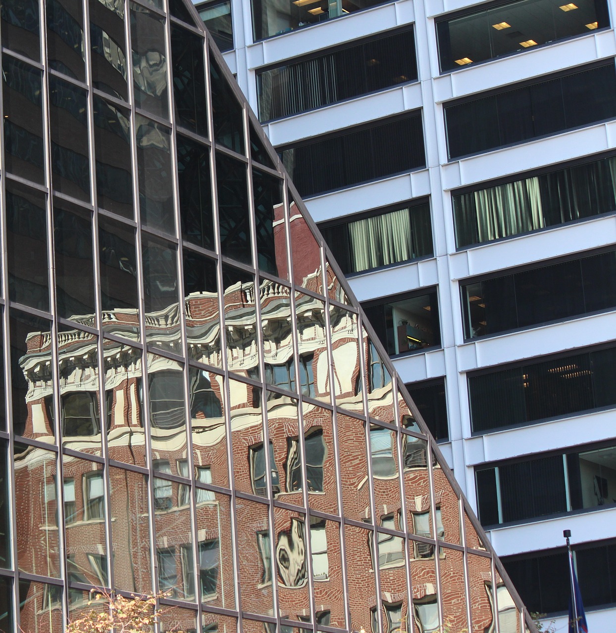 buildings angle reflection free photo