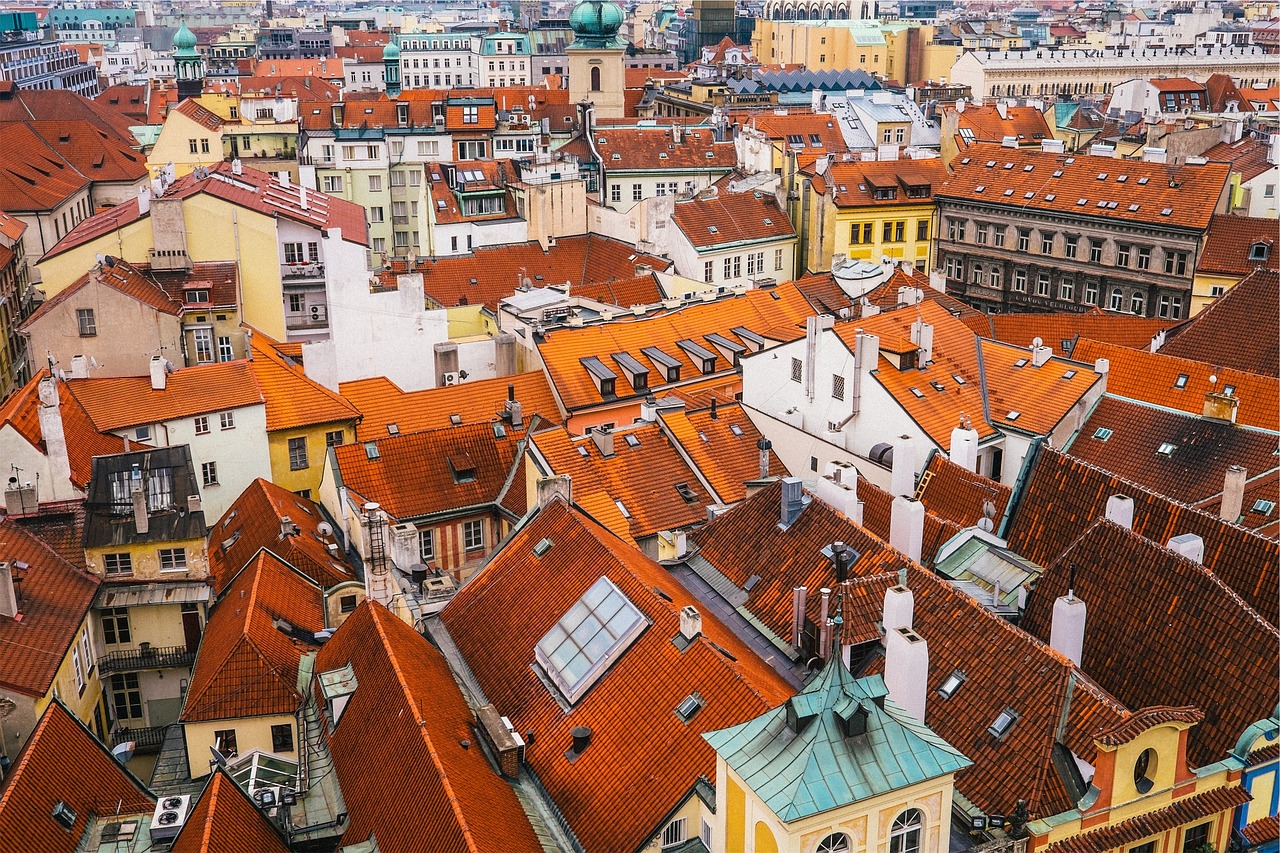 buildings roof tops city free photo