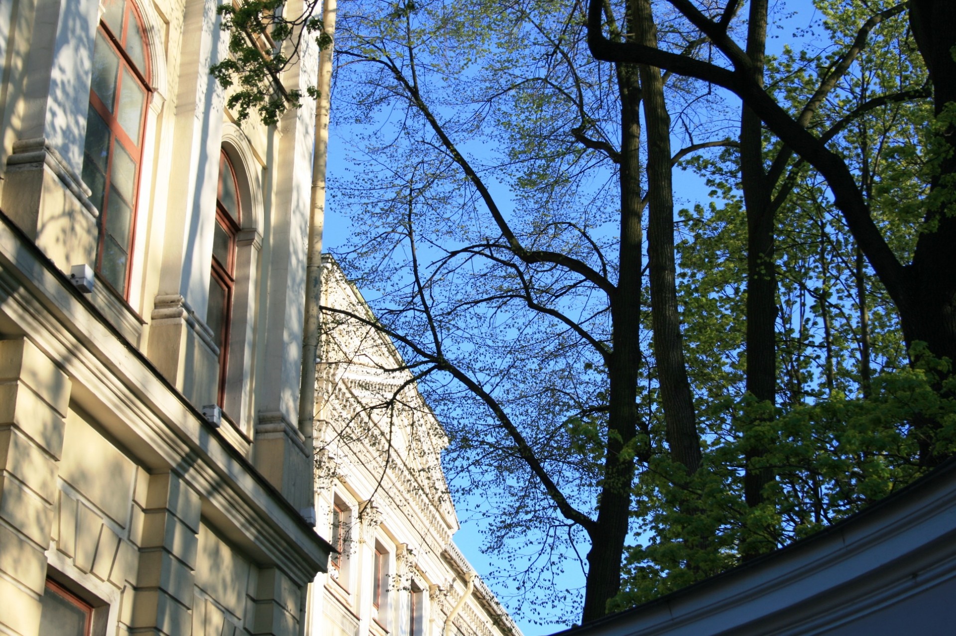 buildings white architecture free photo