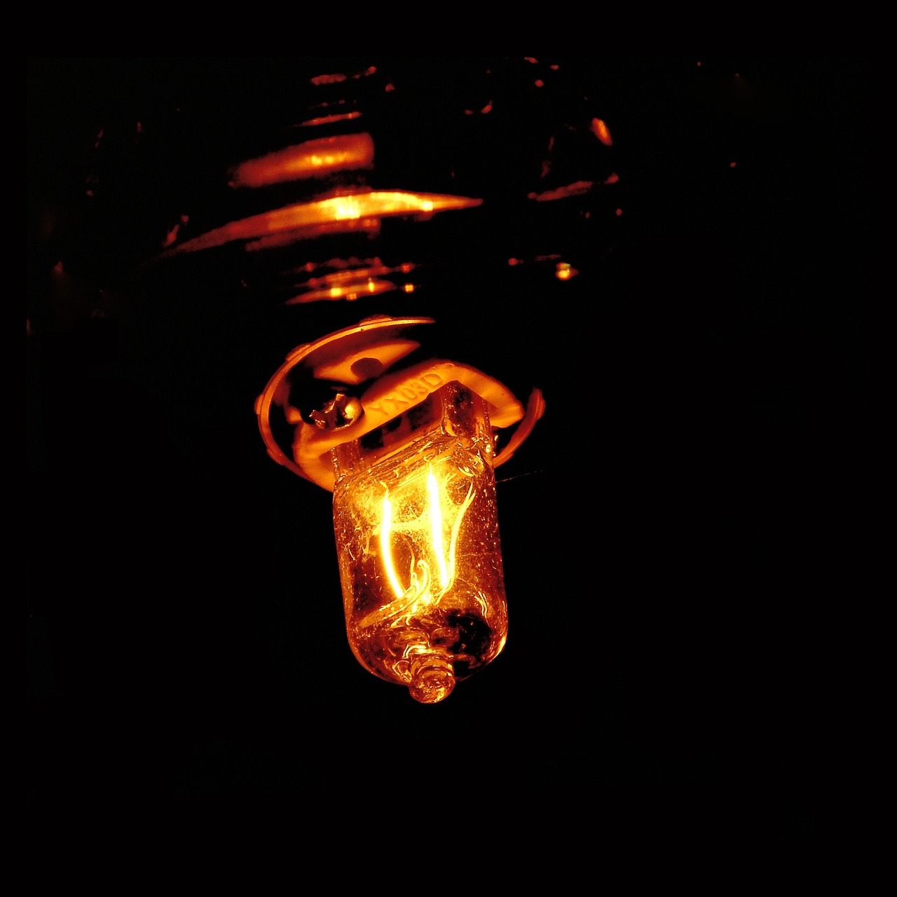 bulb energy electric free photo