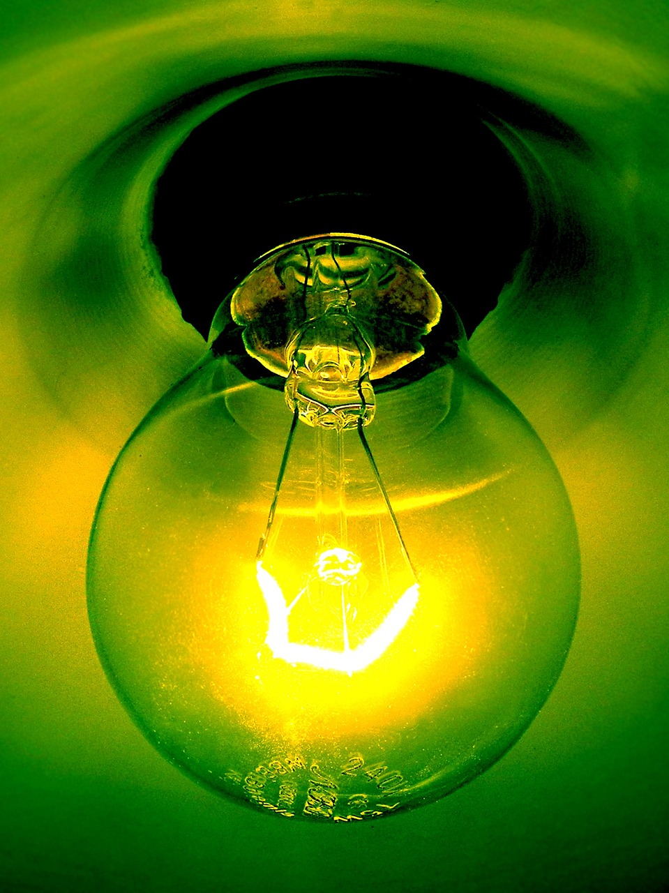 bulb light green free photo