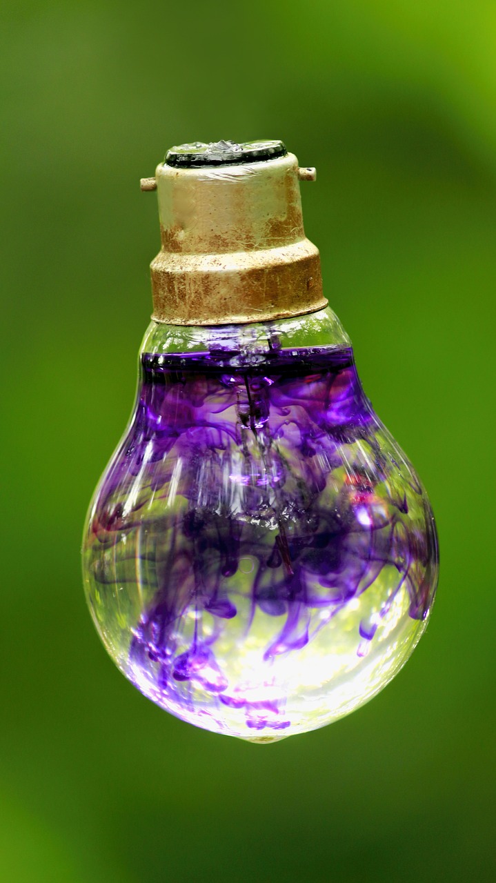 bulb bulb with water design free photo