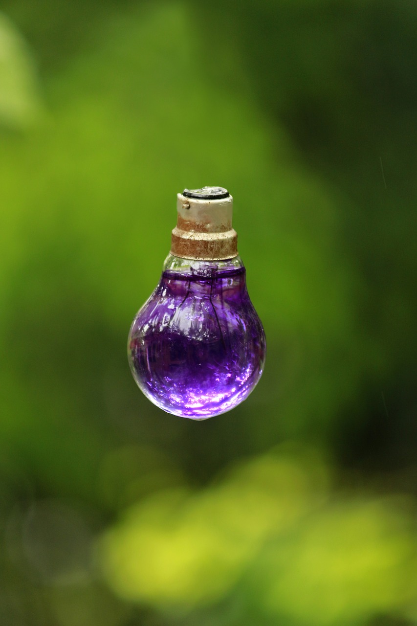 bulb bulb with water design free photo
