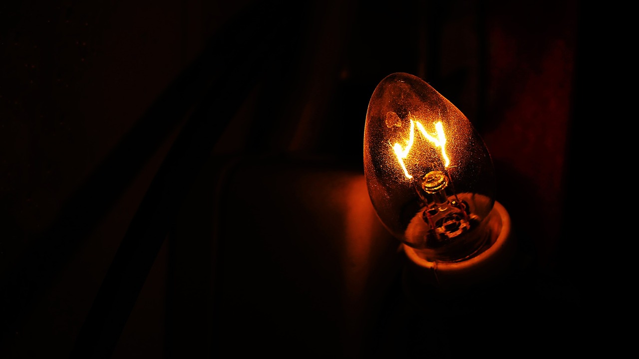 bulb  light  dark free photo