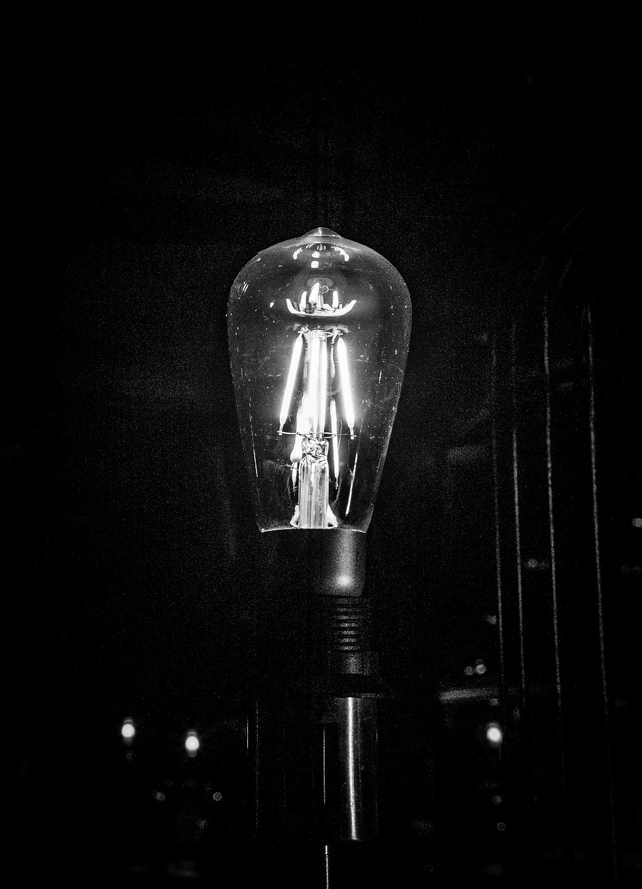 bulb  black and white  light free photo