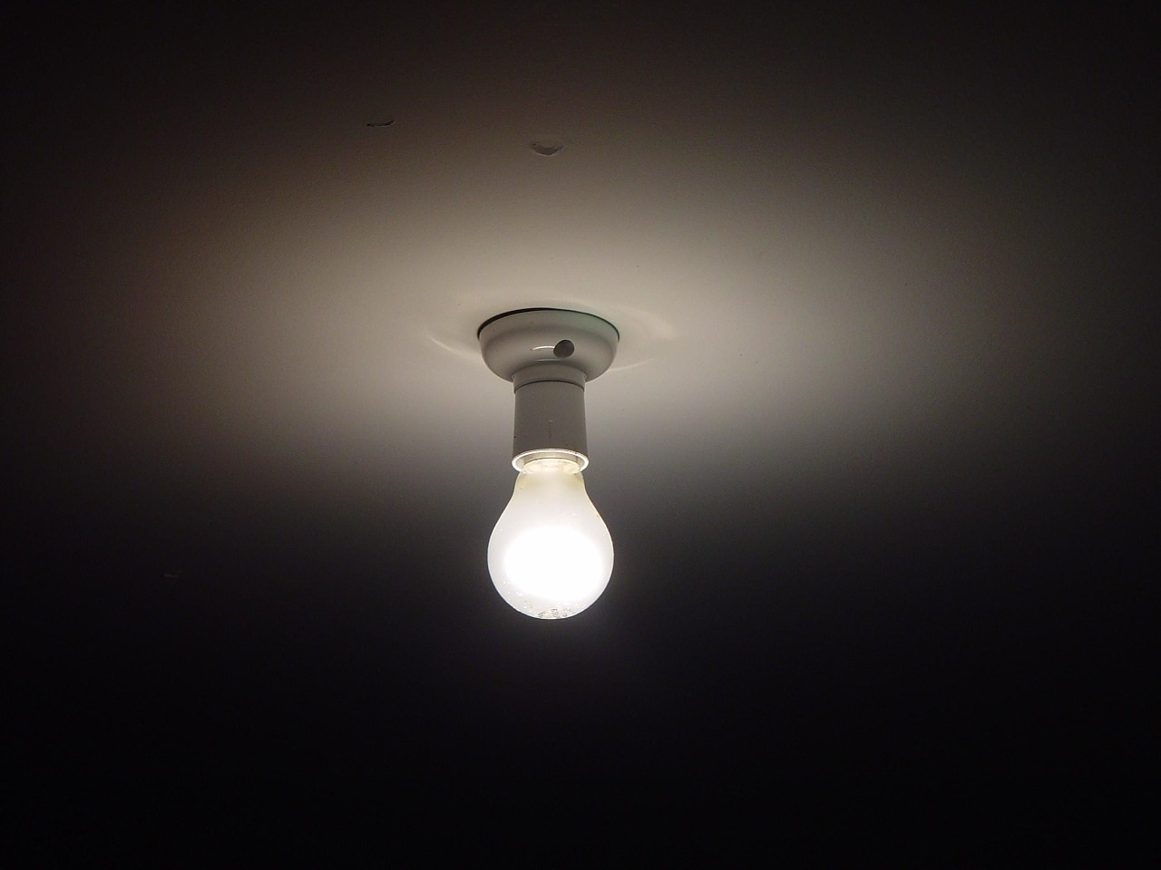 bulb light lights free photo