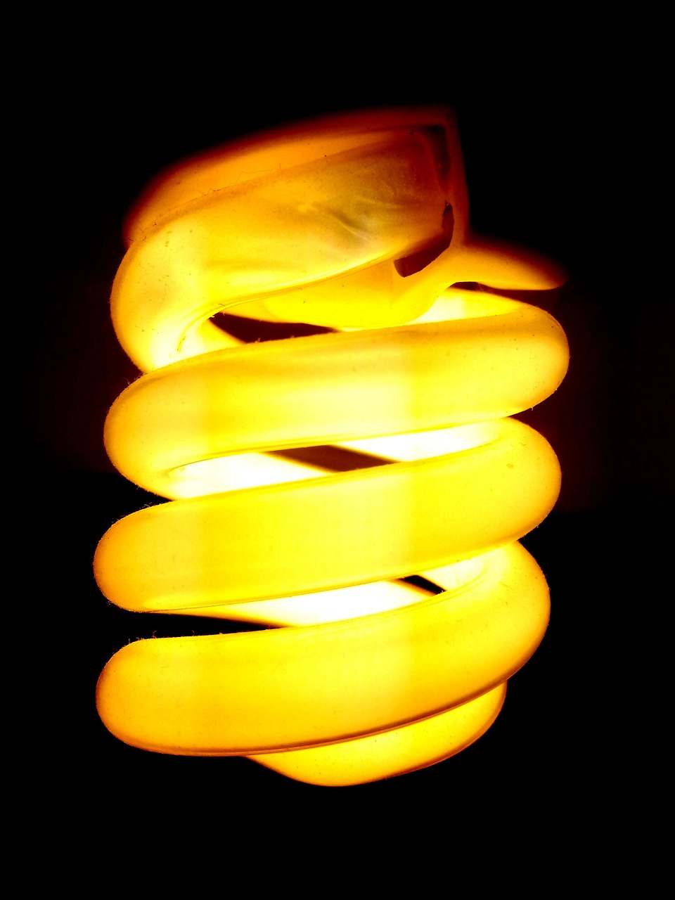 bulb dark electricity free photo