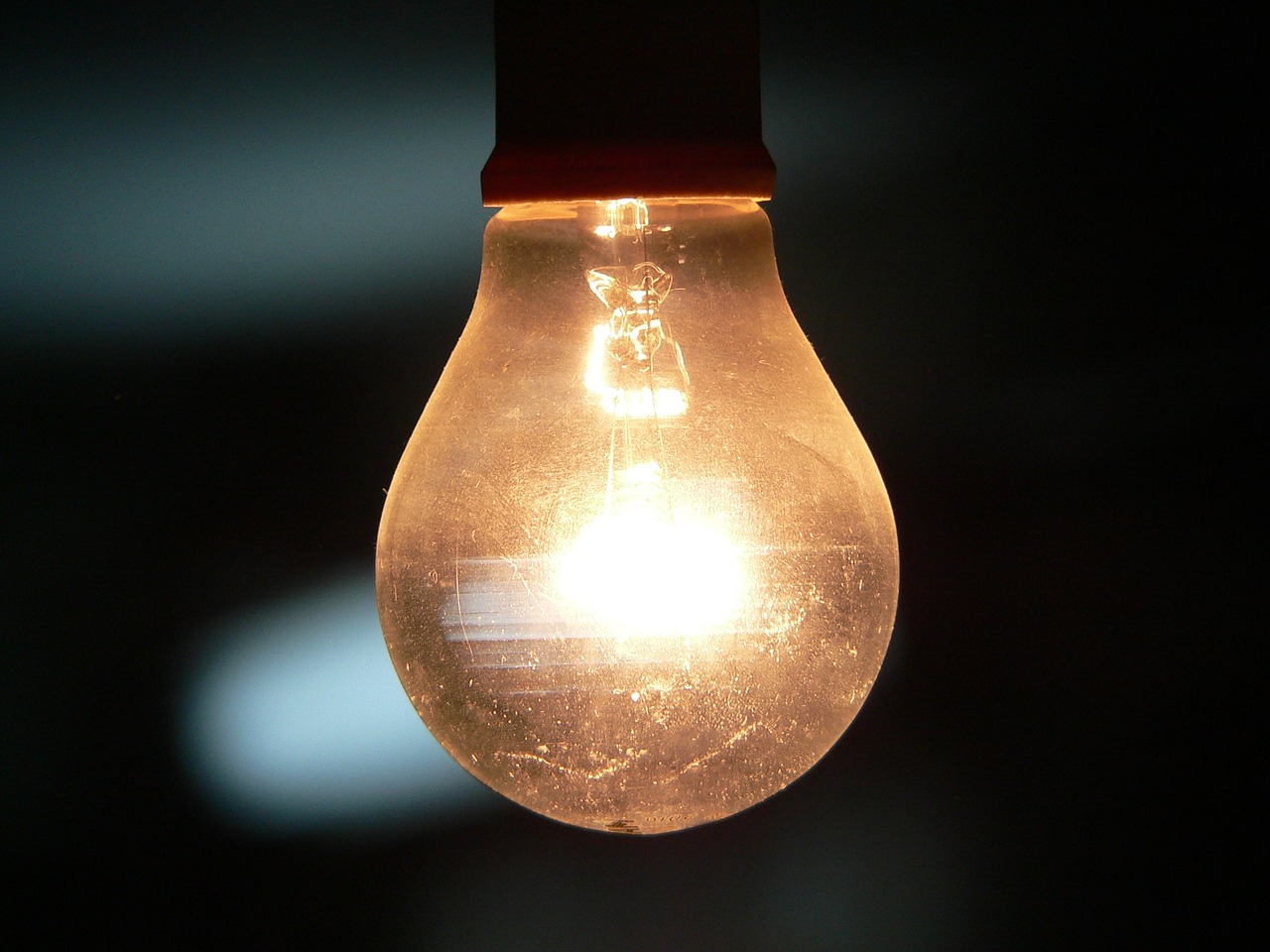 bulb light shell free photo