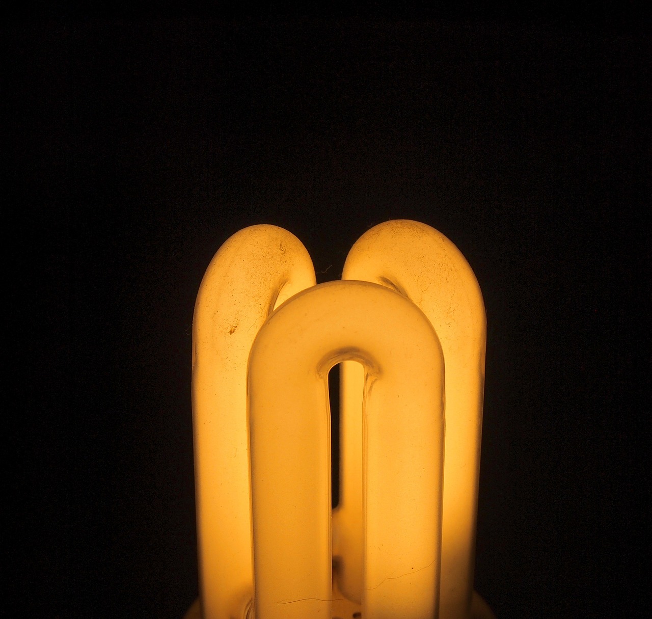 bulb light electricity free photo