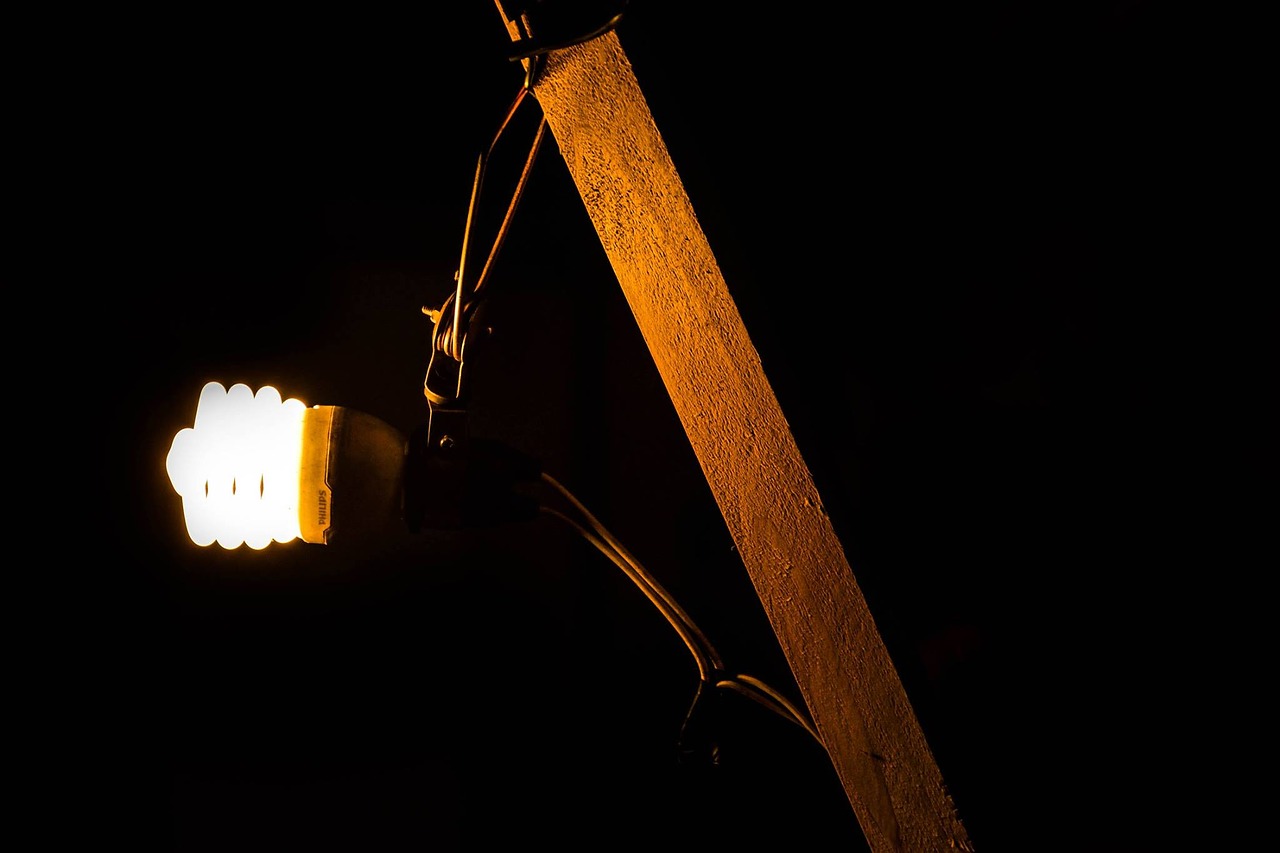 bulbs light clear lamps free photo