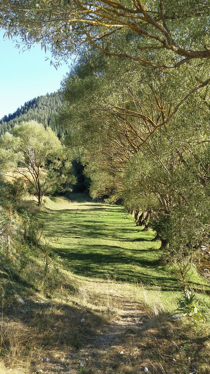 bulgaria nature beauty free photo