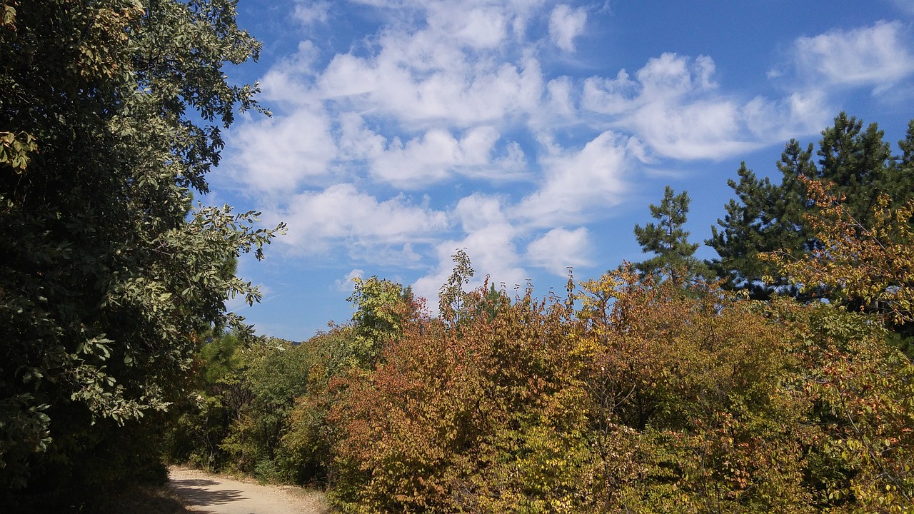 bulgaria nature beauty free photo