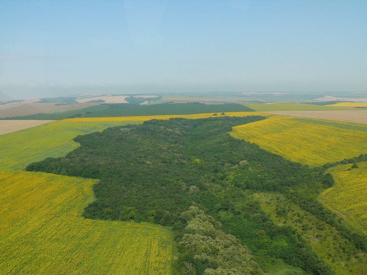 bulgaria nature the danube plain free photo