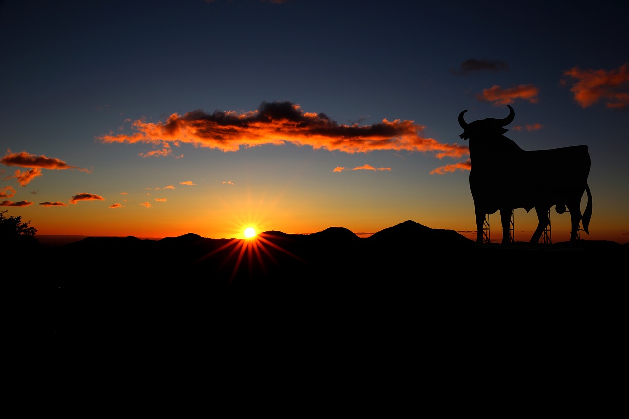bull spain sunset free photo