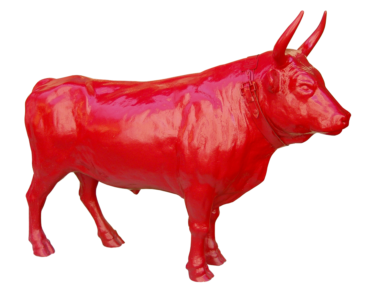 bull red strong free photo