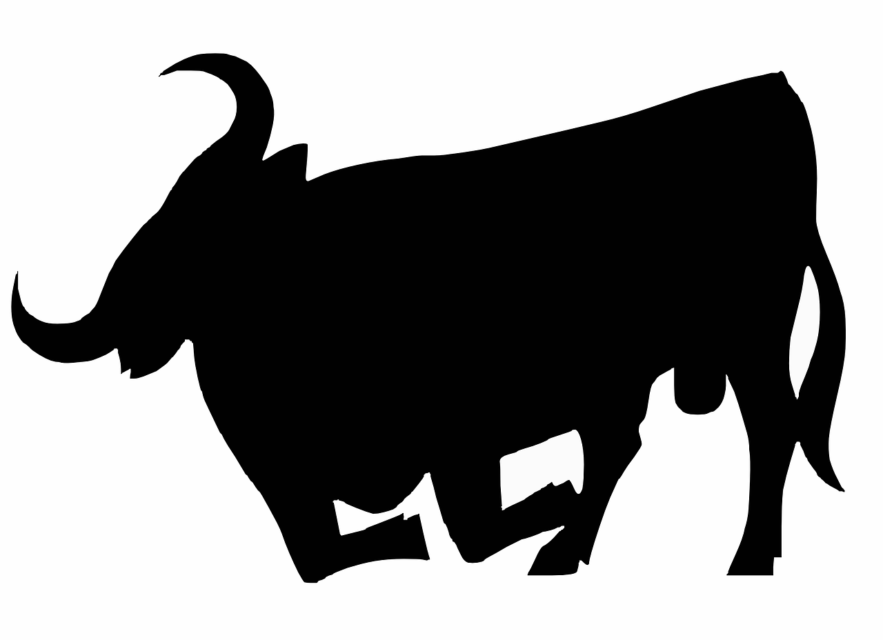 bull silhouette farm free photo