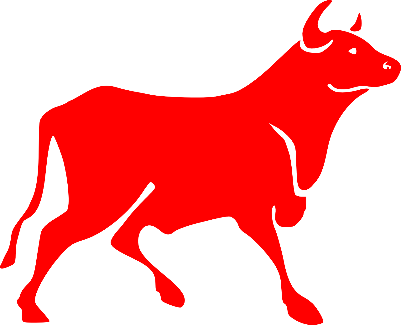 bull red bovine free photo