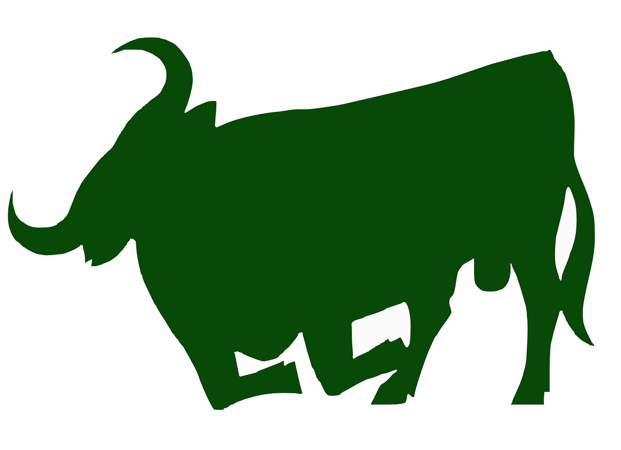 bull green cattle free photo