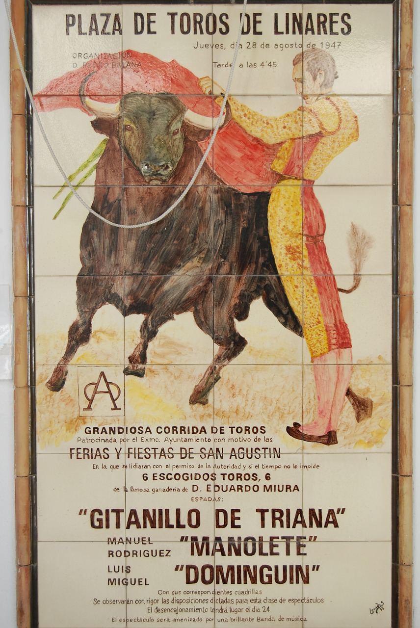 bull torero spain free photo