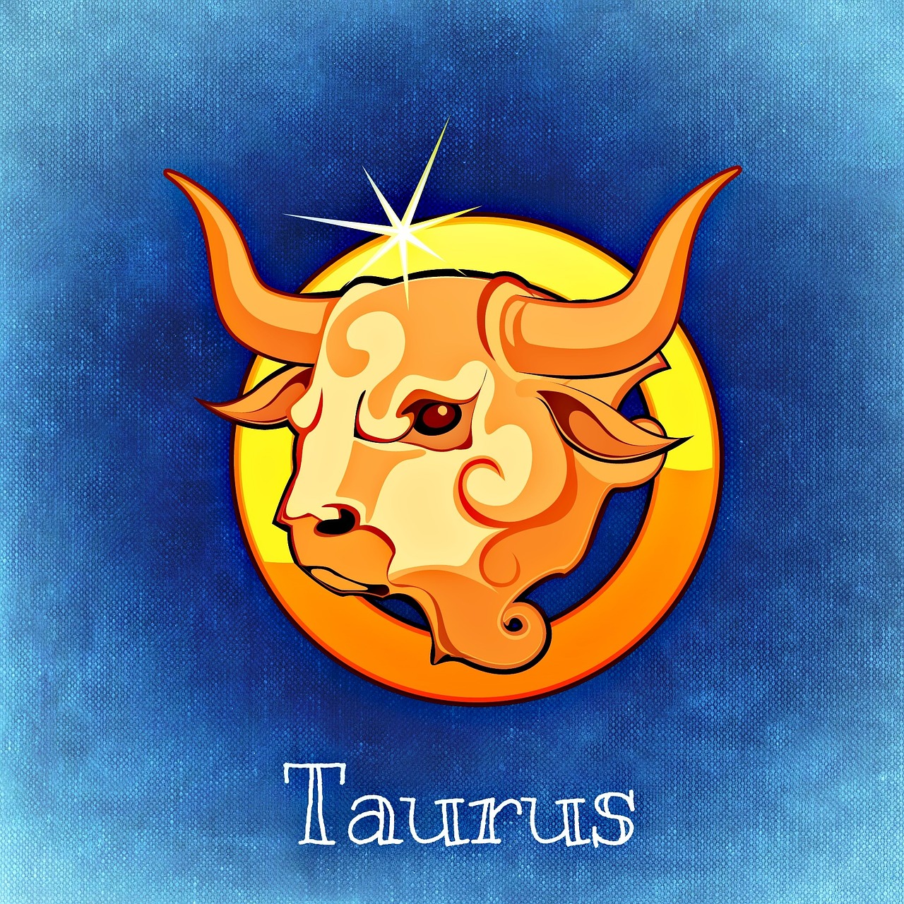 bull zodiac sign horoscope free photo