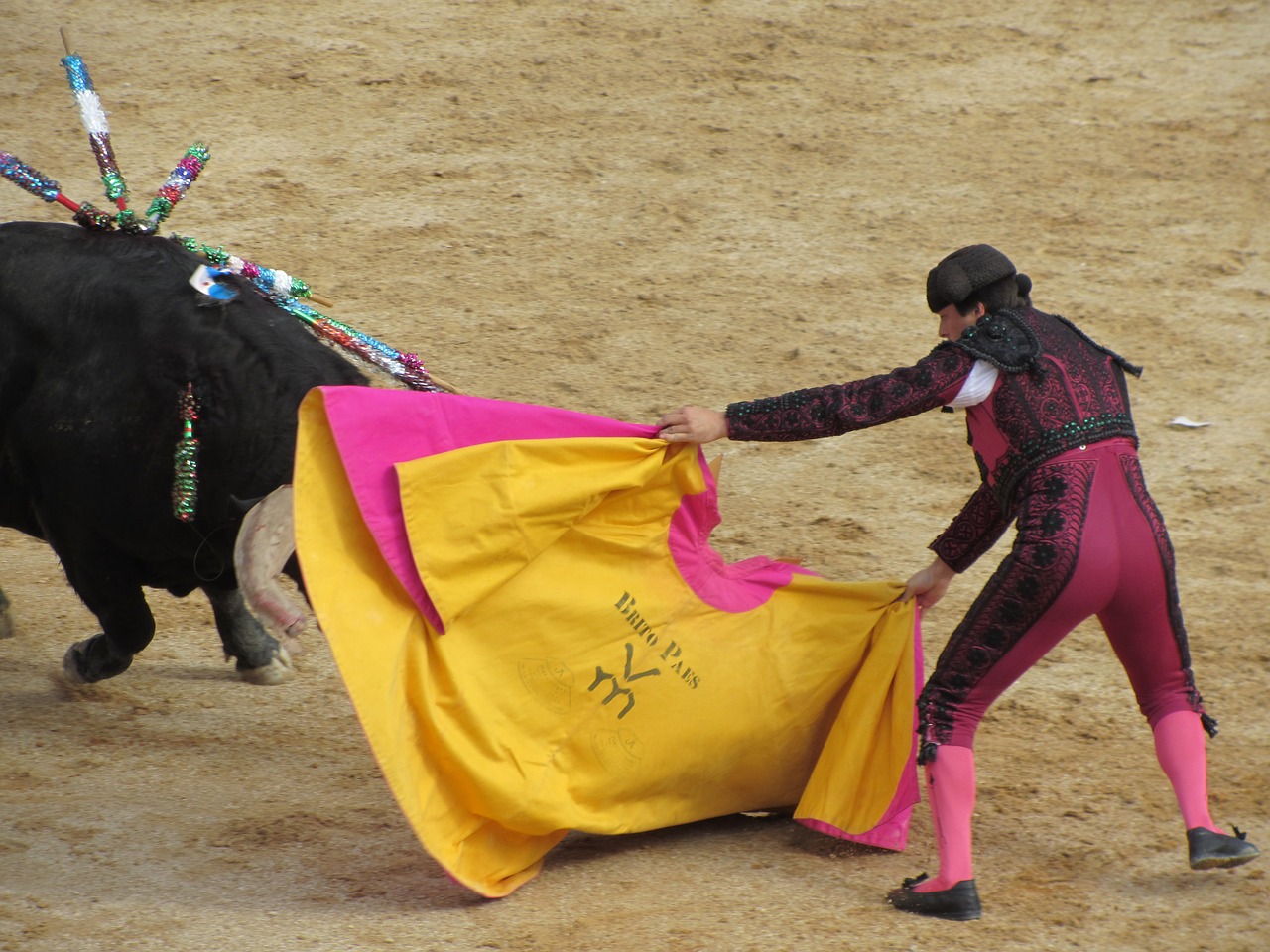 bull fighting torero portugal free photo