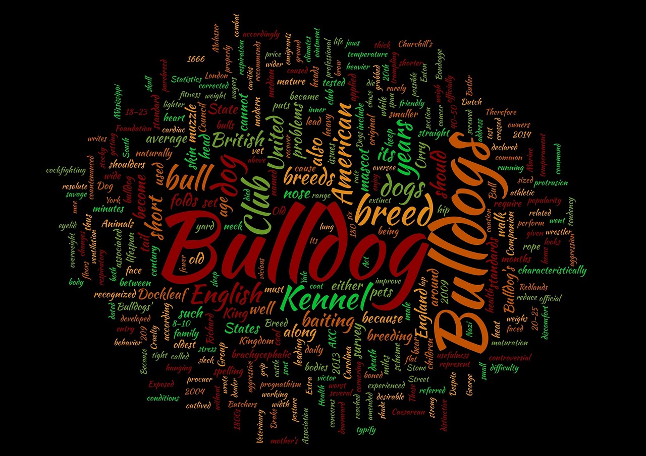 bulldog word cloud dog breed free photo