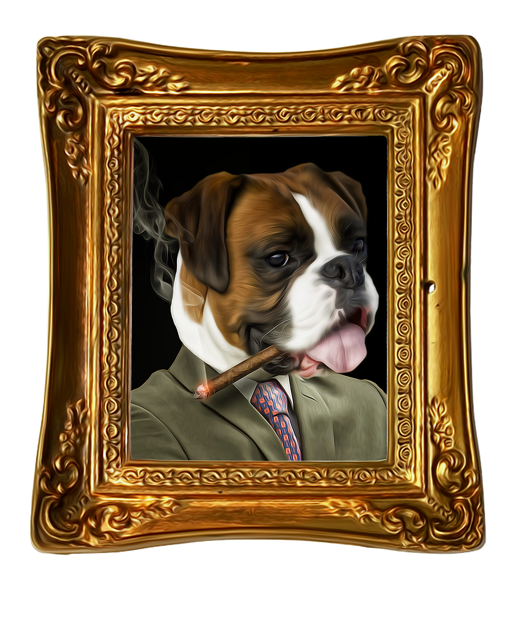 bulldog portrait funny free photo