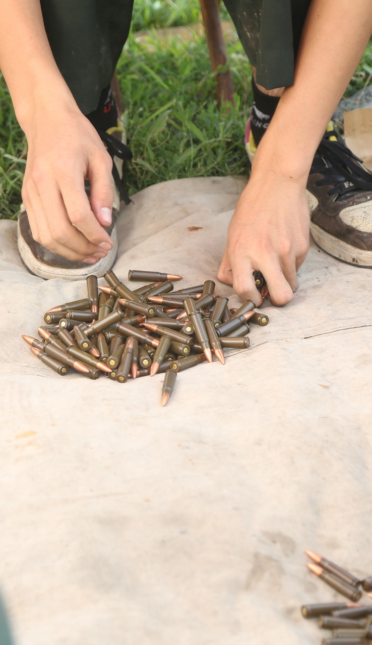 bullet military inventory free photo