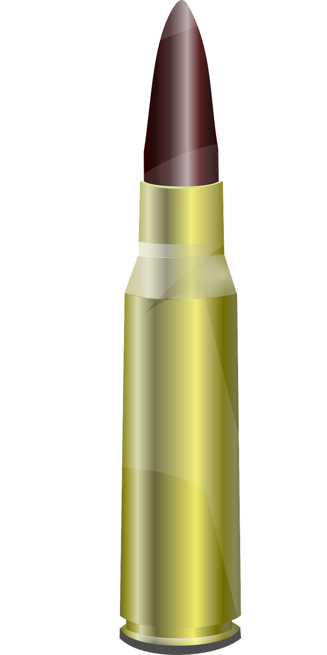 bullet ammo cartridge free photo