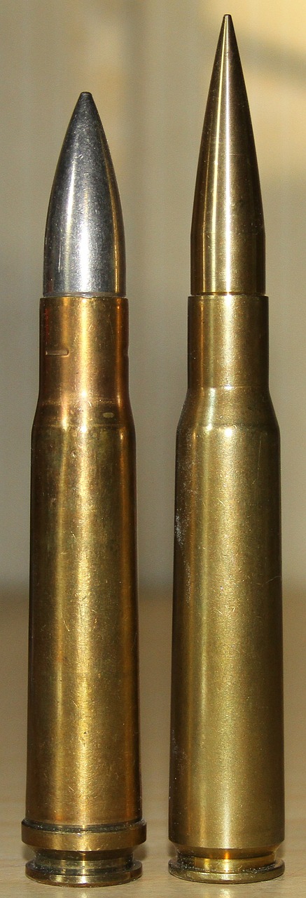 bullets cartridge ammunition free photo