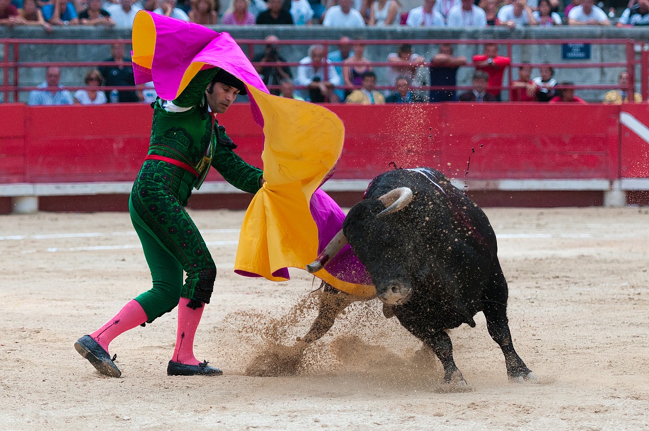 bullfight toreador arenas free photo