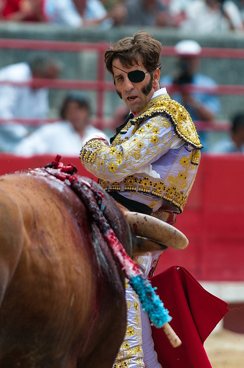 bullfight toreador bulls free photo