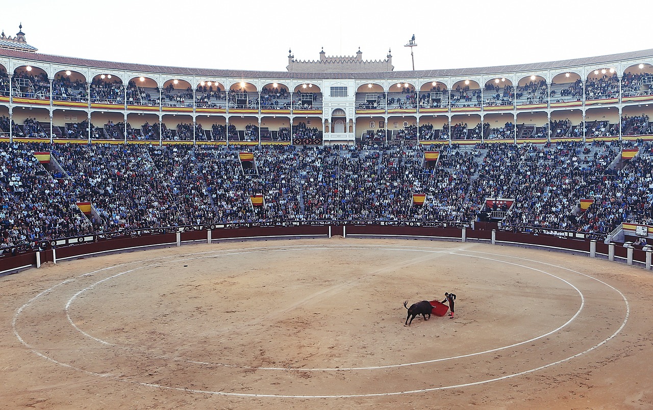 bullfight torero corrida free photo