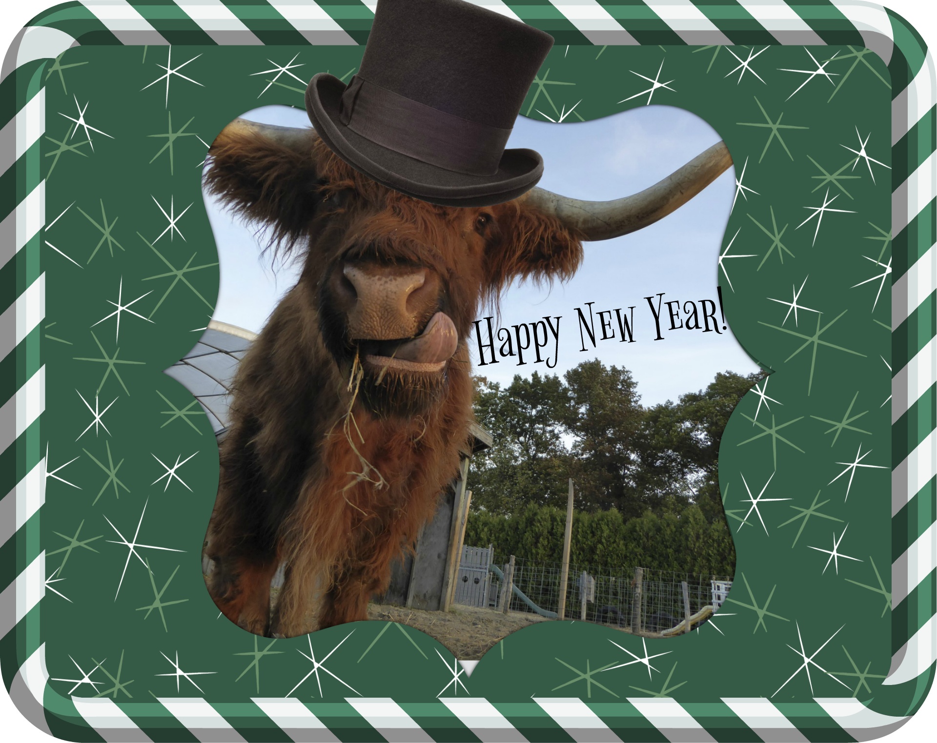 new years bull animal free photo