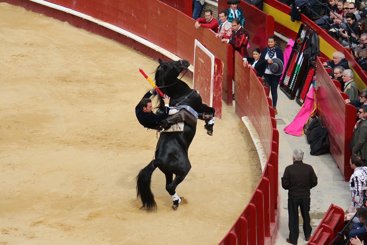 bullring torero free pictures free photo