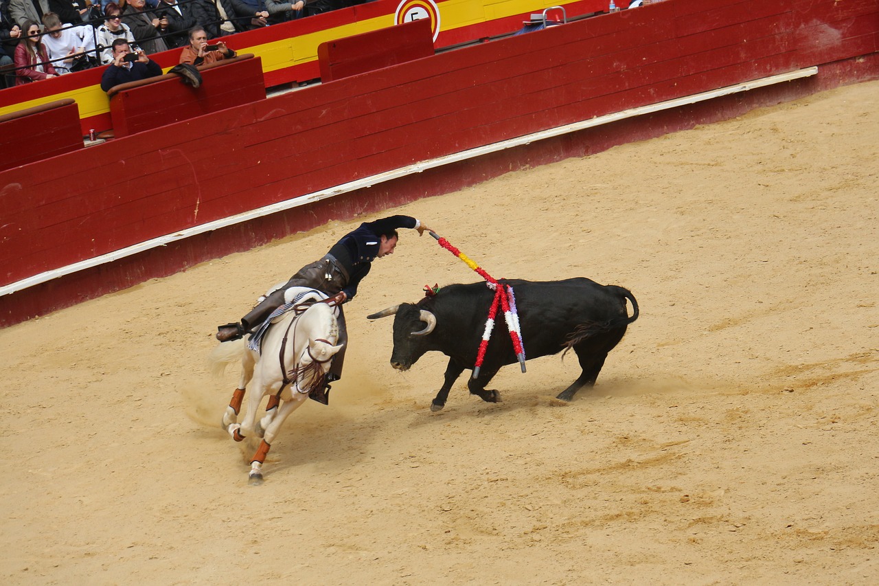 bullring torero free pictures free photo