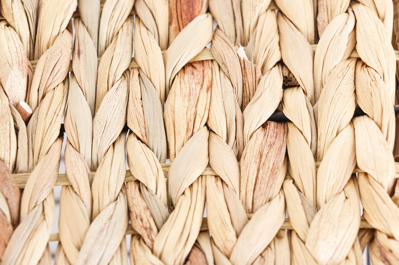 bulrush  rushes  weave free photo