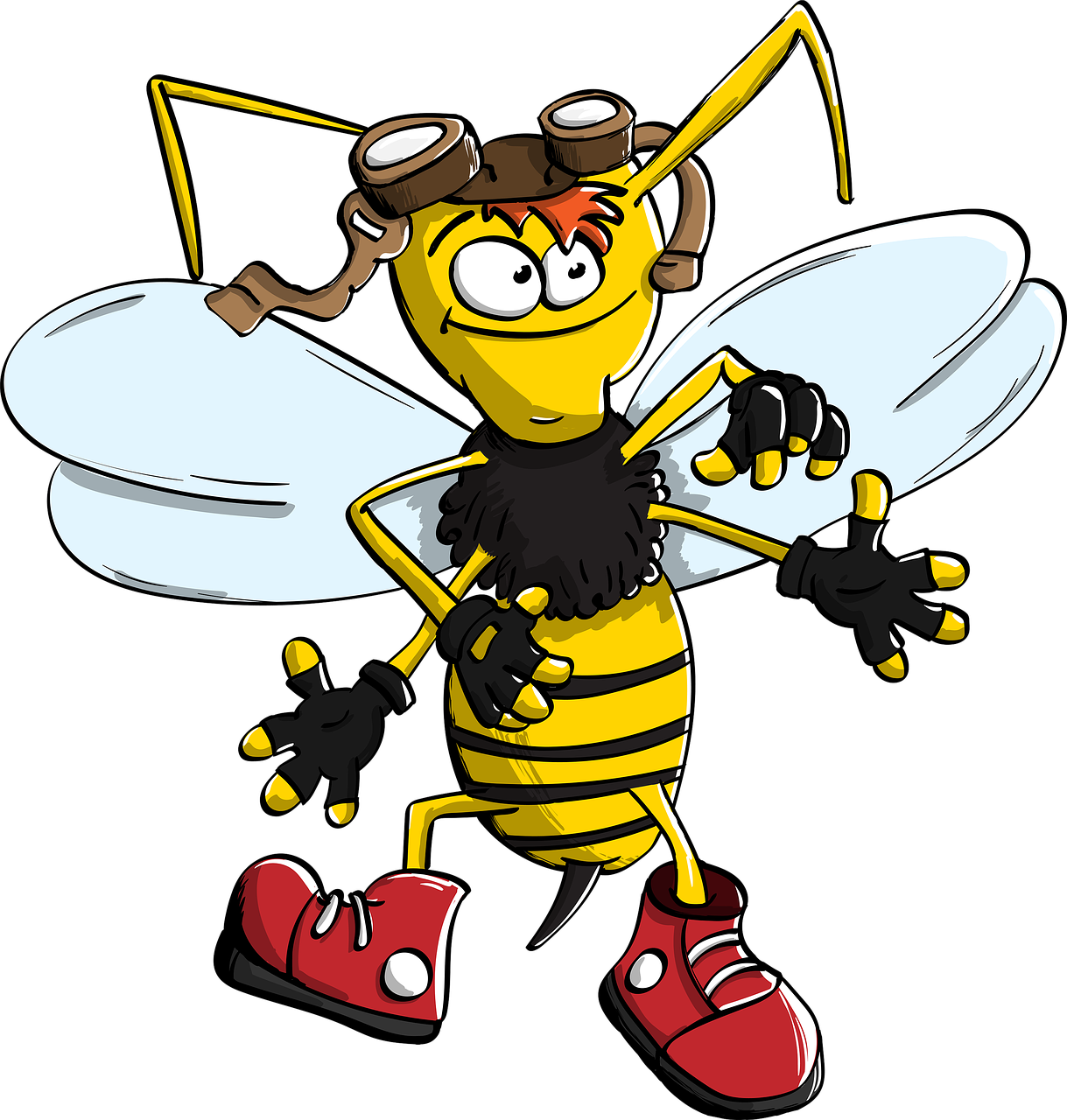 bumblebee wasp bee free photo