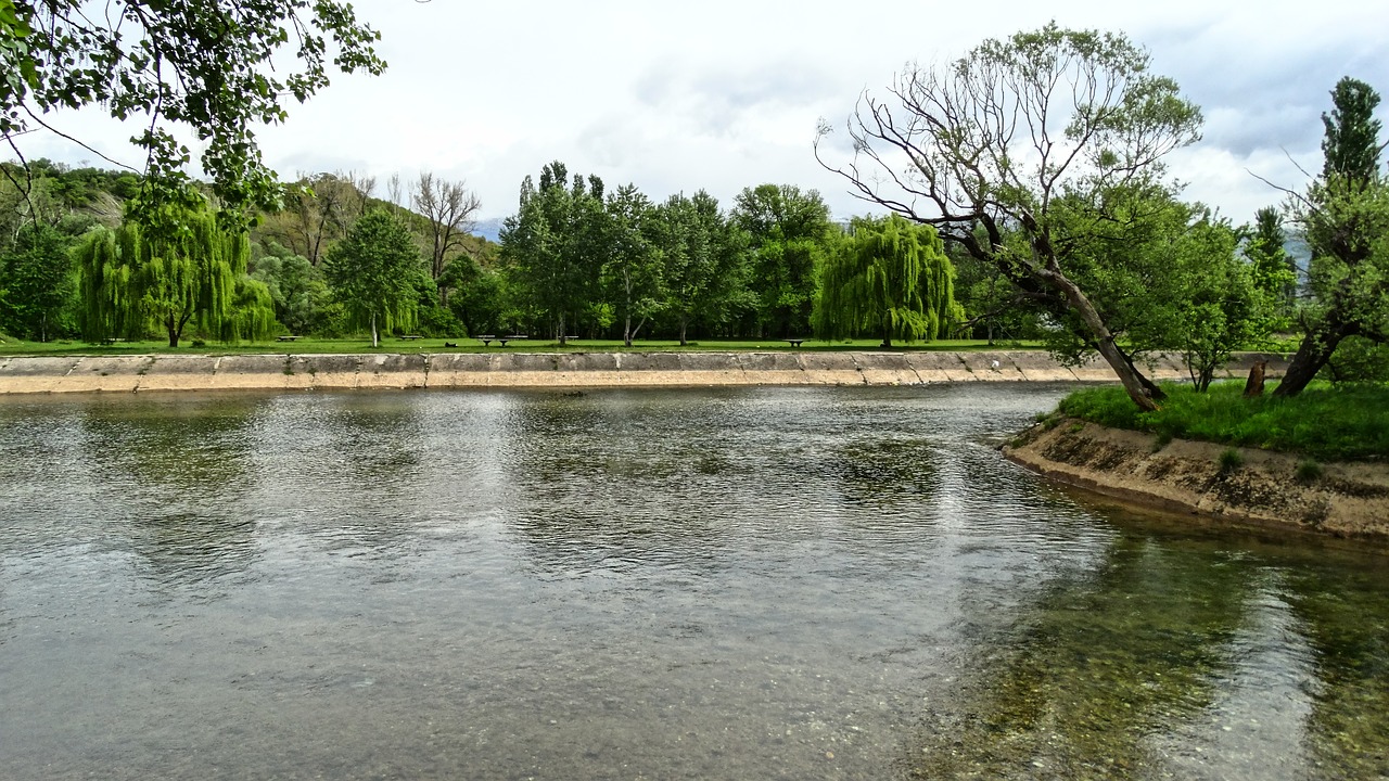 buna river water free photo