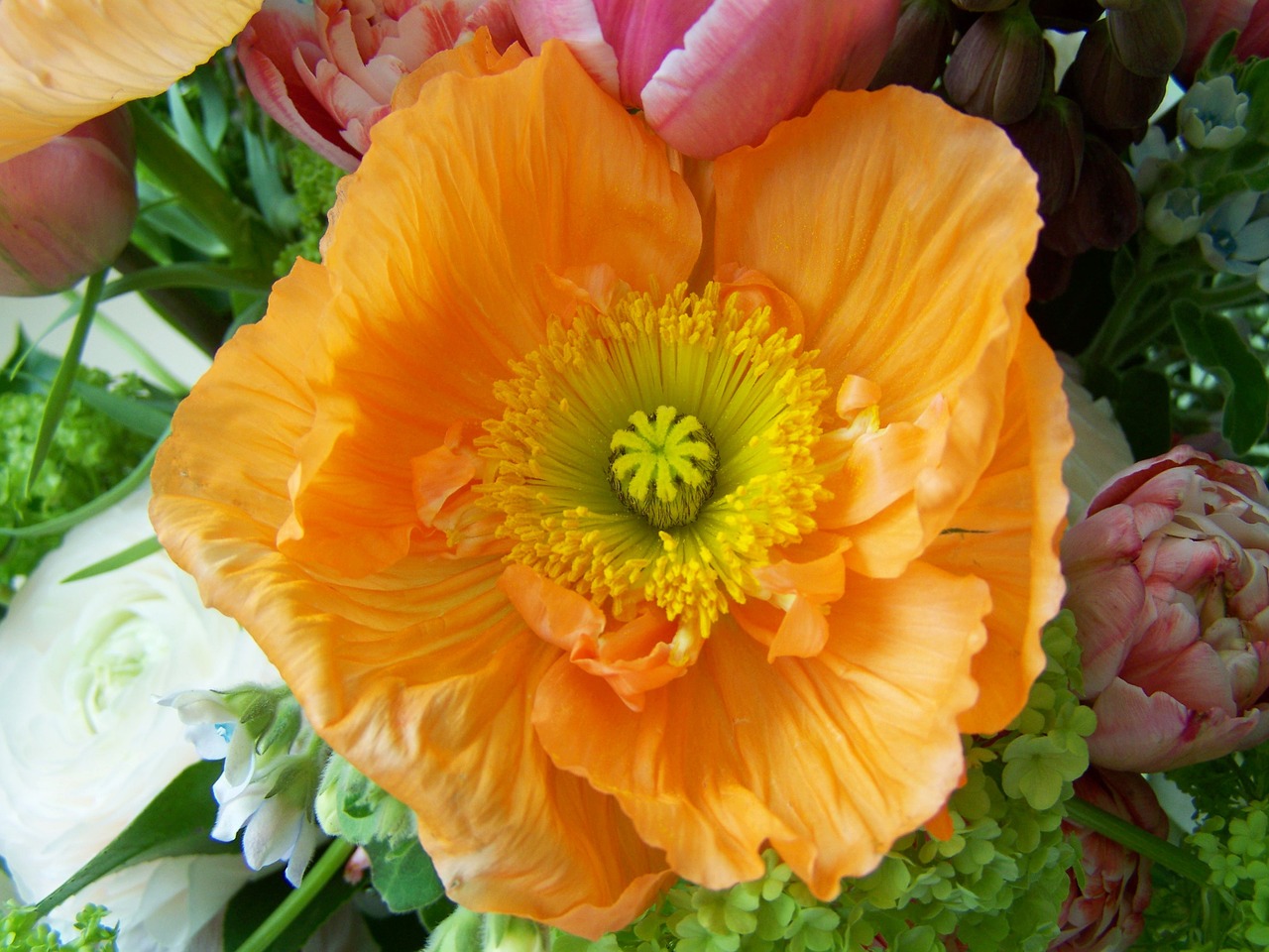 bunch of flowers orange flower cut flower free photo